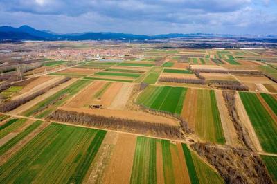 着力打造中国特色现代化农业的“鲁版”富春山居图丨闪电评论